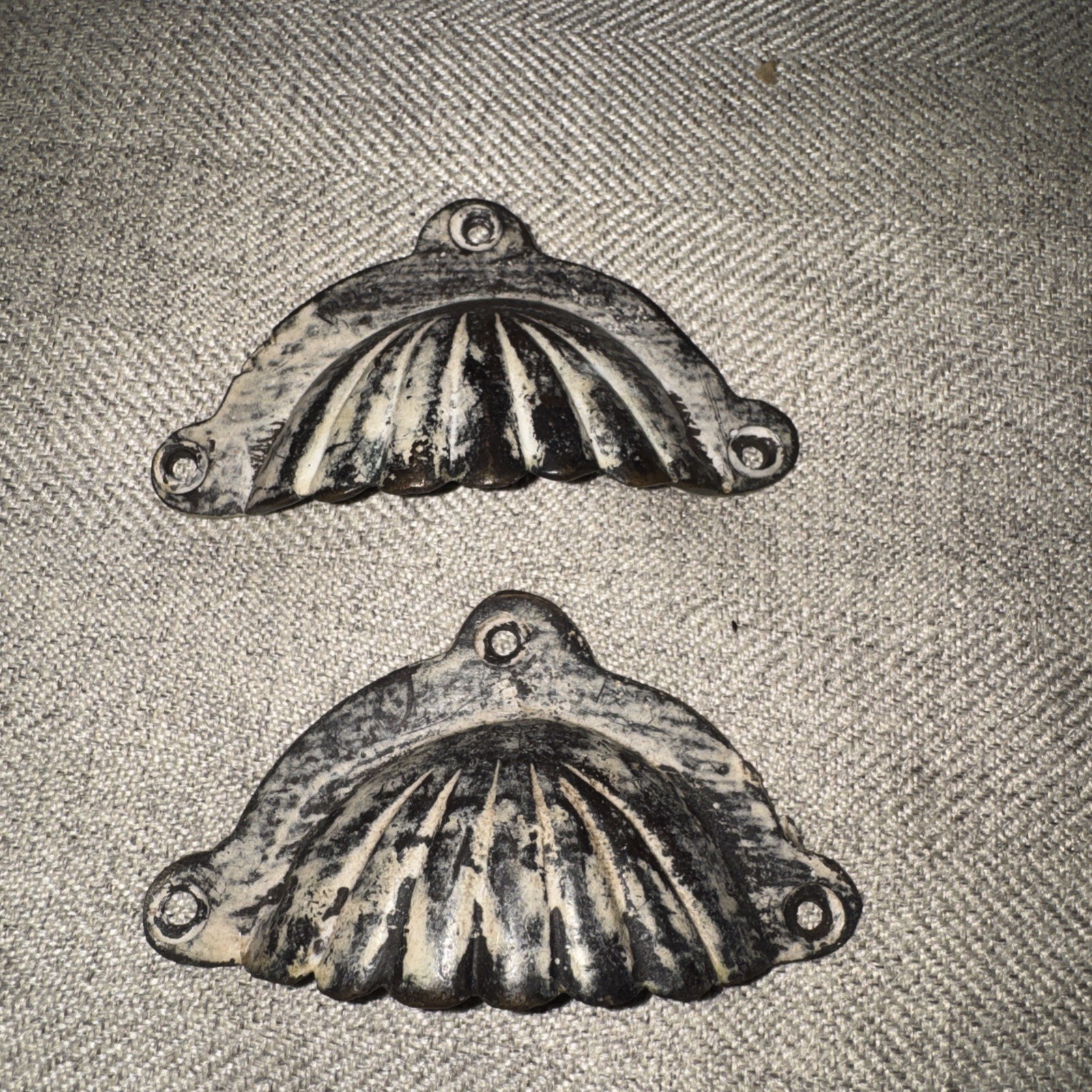 2 Cup Drawer Pulls shell Design 3 1/2″ Wide heavy