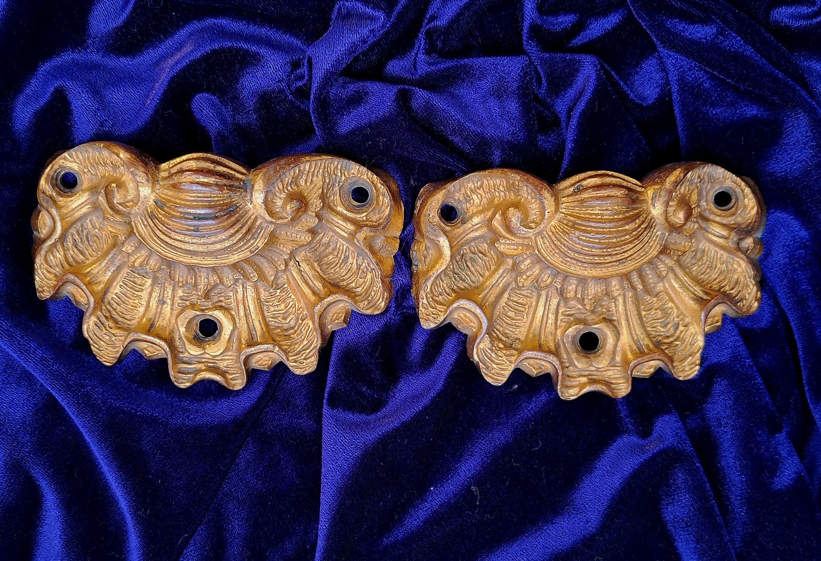 Gold Gilt Bronze Drawer Cupboard Pulls Clam Shell Antique French Quality Cast