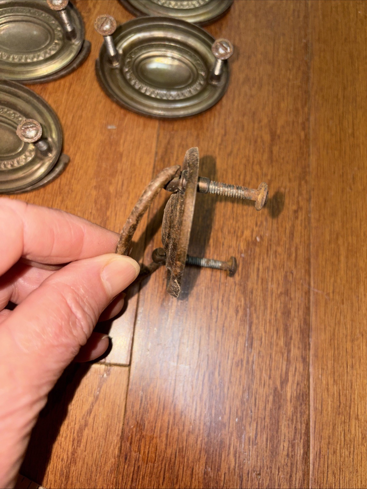 8 Vintage Oval Hepplewhite Duncan Phyfe Style Metal Drawer Pulls w All/Screws