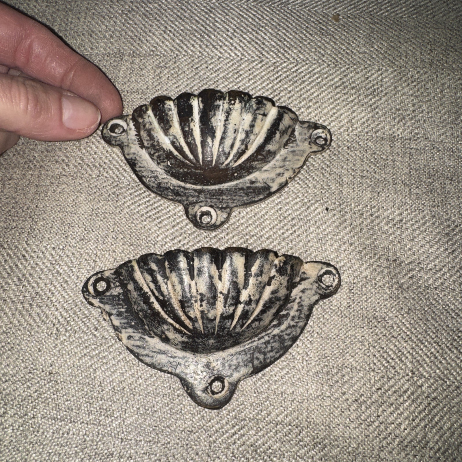 2 Cup Drawer Pulls shell Design 3 1/2″ Wide heavy
