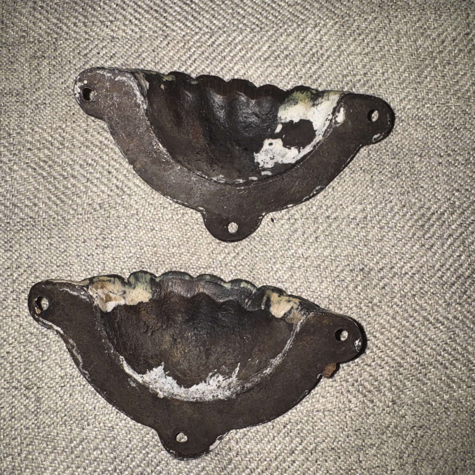 2 Cup Drawer Pulls shell Design 3 1/2″ Wide heavy