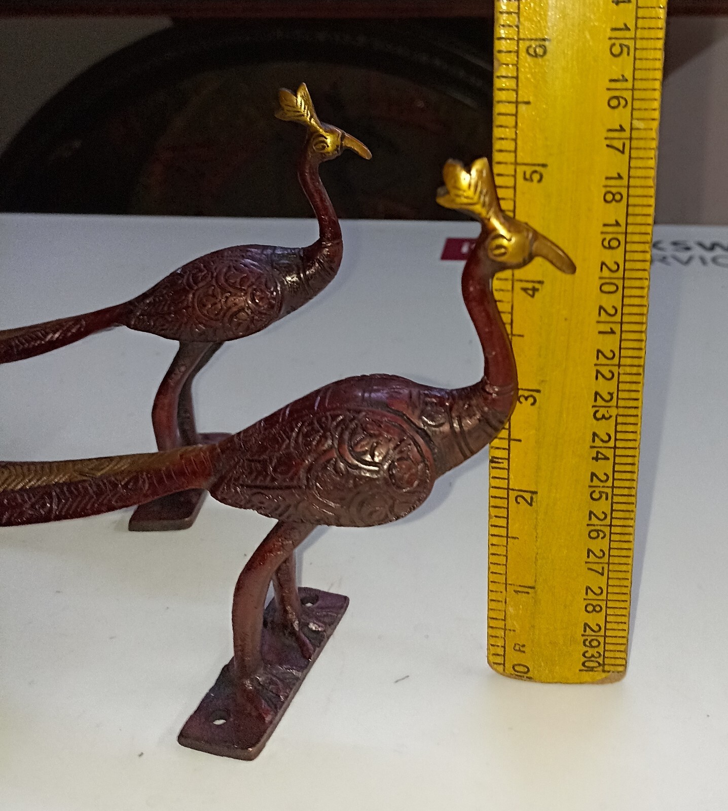 Congo Bird Design Door Handle Pair Brass Peacock Door Pull Office Door Dec GTX