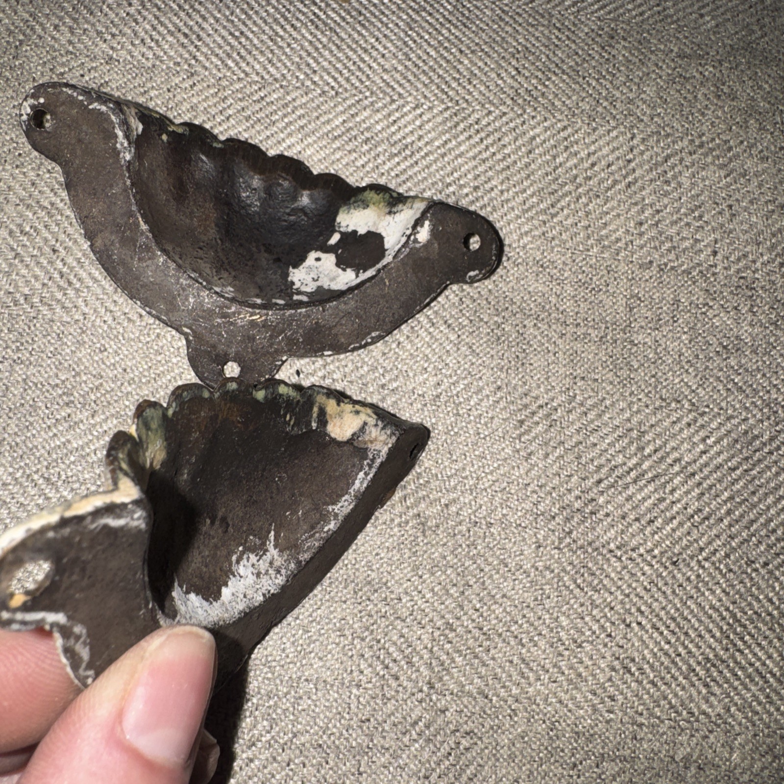 2 Cup Drawer Pulls shell Design 3 1/2″ Wide heavy