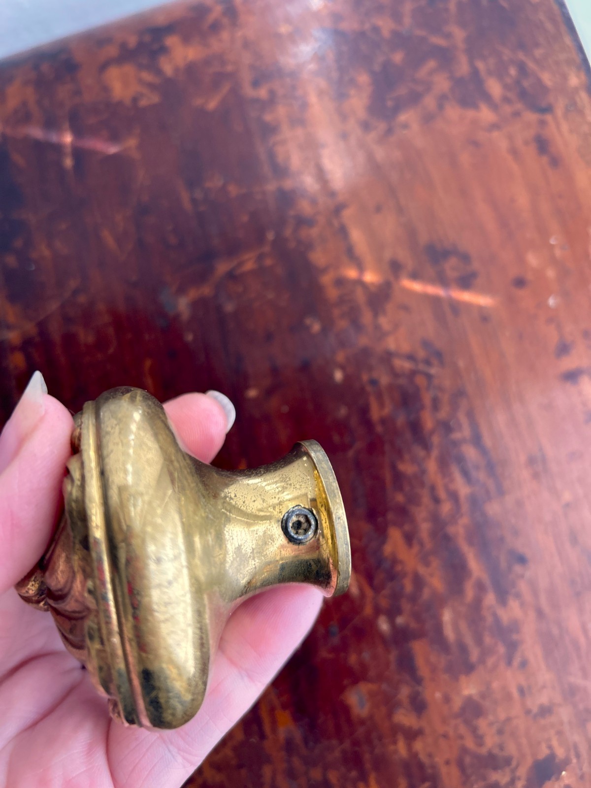 Ornate Brass Pull Knob with Backplate, Rococo Baroque Style Hardware (Spain)